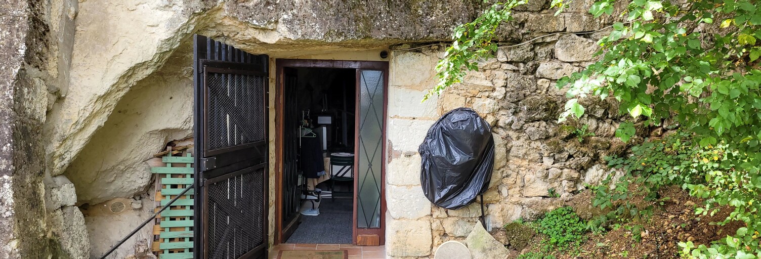 Maison 1 Pièce 42 m² à vendre à Saint-Rimay (41800)