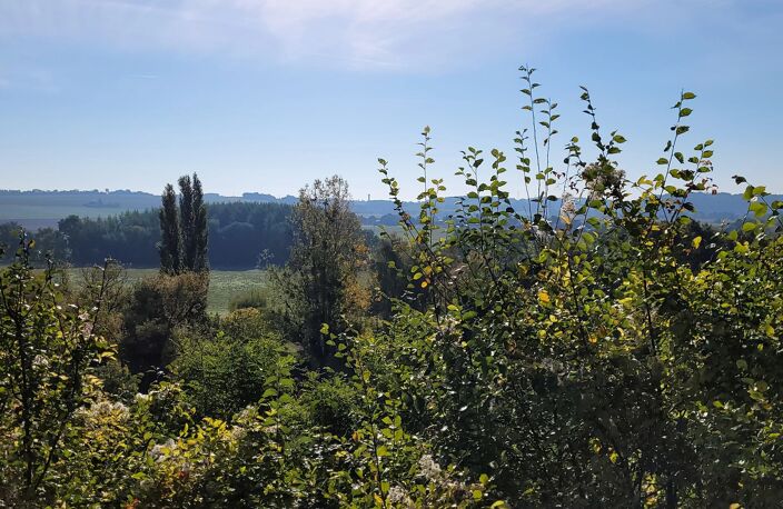 HABITATION TROGLODYTIQUE, CAVES, GROTTES ET TERRAINS — photo 4