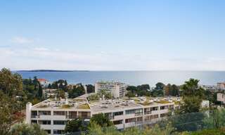 Appartement 1 Pièce 22 m² à vendre à Cannes (06400)