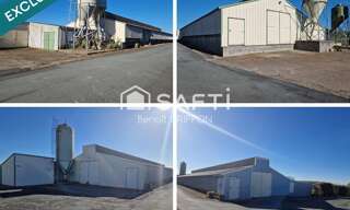 Commerce 9 Pièces 4290 m² à vendre à Boussay (44190)