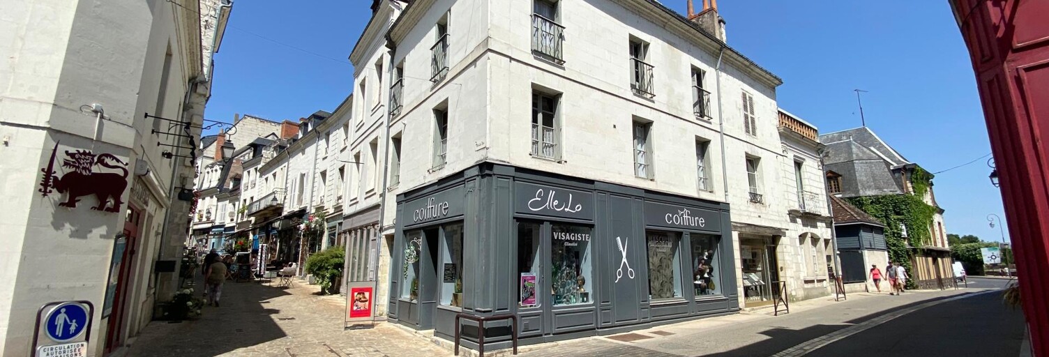 Appartement 5 Pièces 120 m² à vendre à Loches (37600)