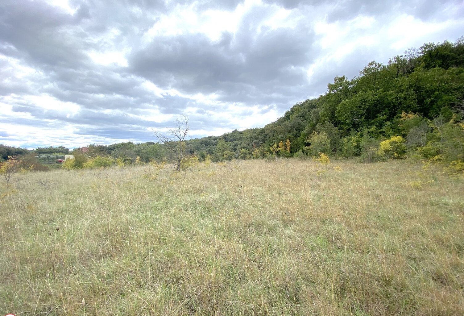 Terrain à aménager — photo 1