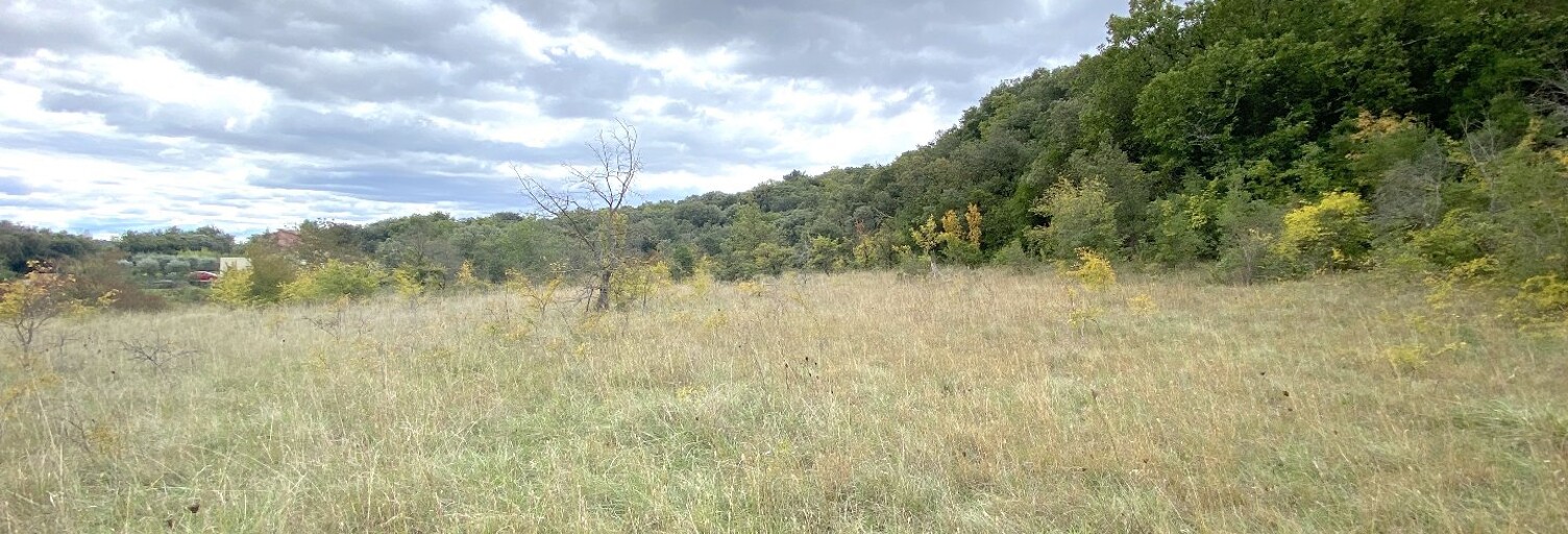 Terrain  8380 m² à vendre à Saint-Martin-de-Valgalgues (30520)