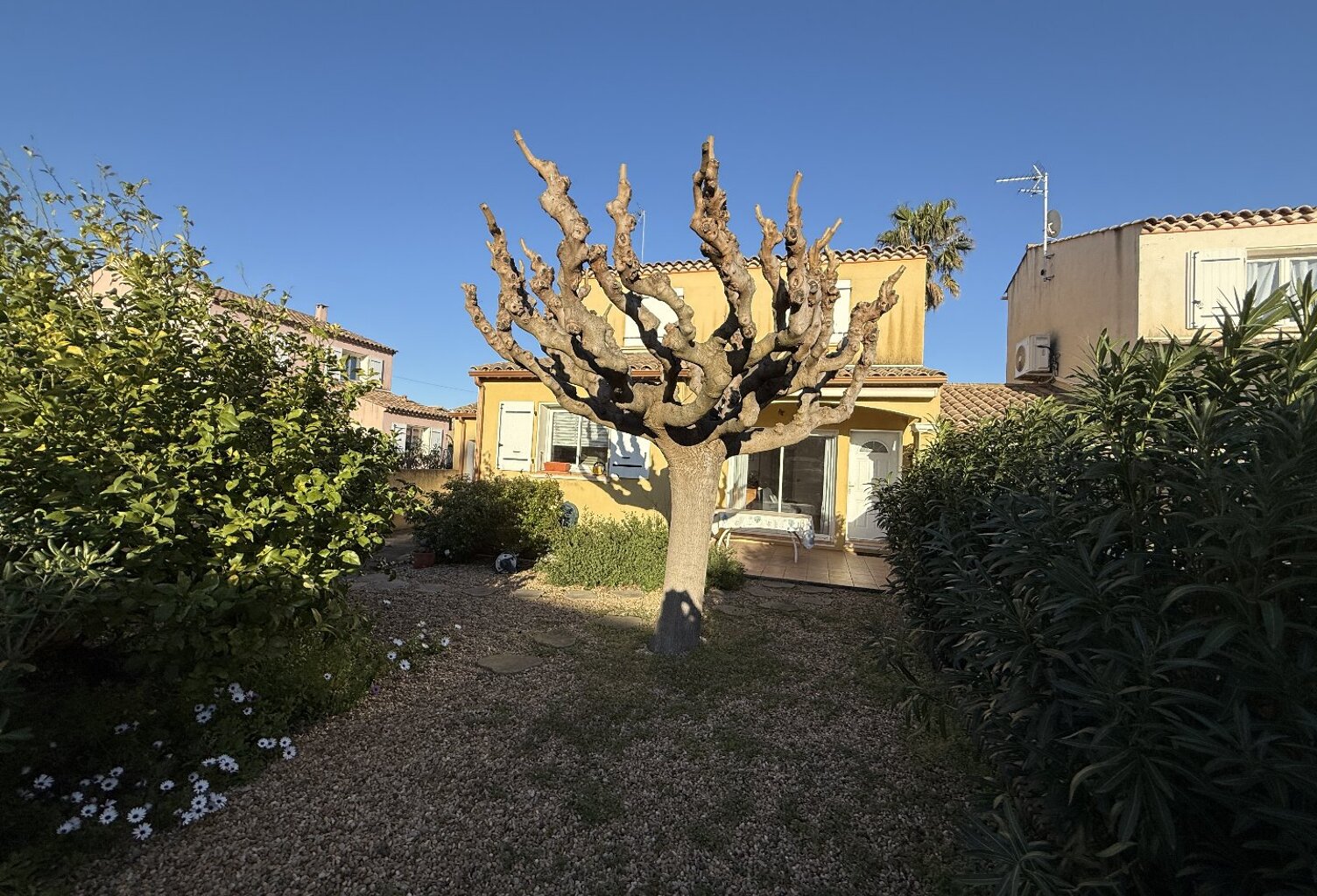 Maison — photo 1