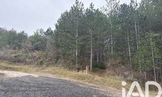 Terrain  240000 m² à vendre à Alet-les-Bains (11580)