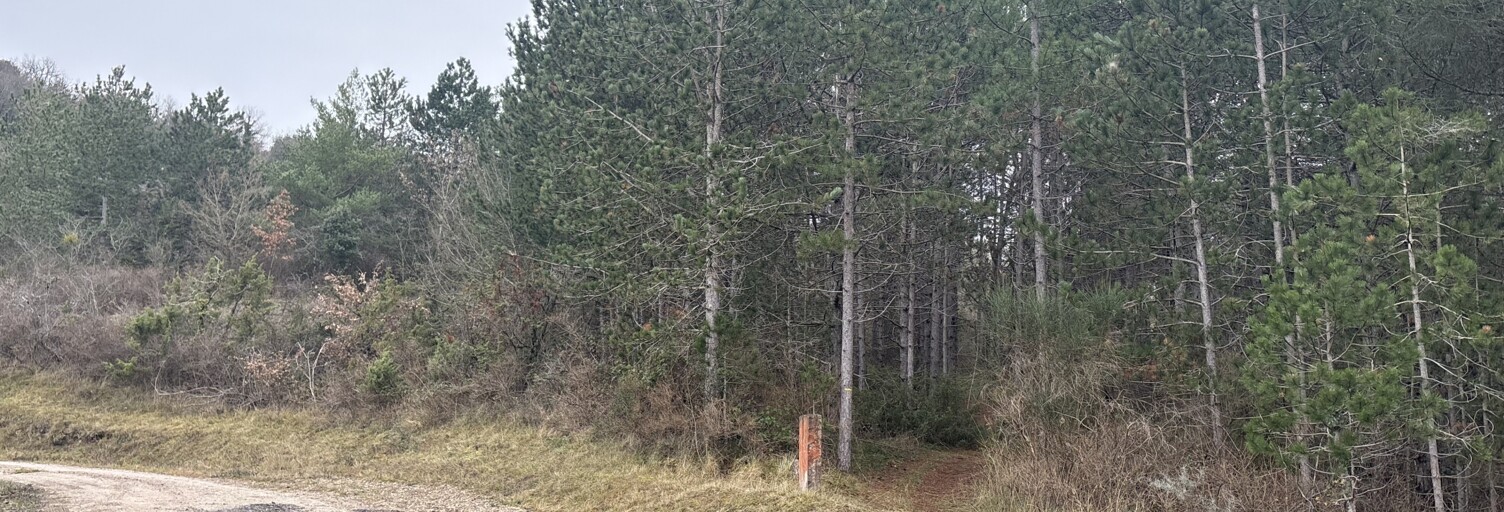 Terrain  240000 m² à vendre à Alet-les-Bains (11580)