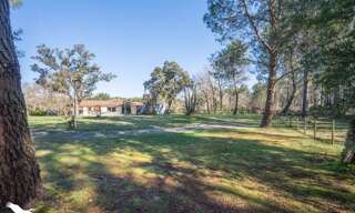 Maison 5 Pièces 177 m² à vendre à Lévignacq (40170)