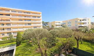 Appartement 1 Pièce 23 m² à vendre à Le Cannet (06110)