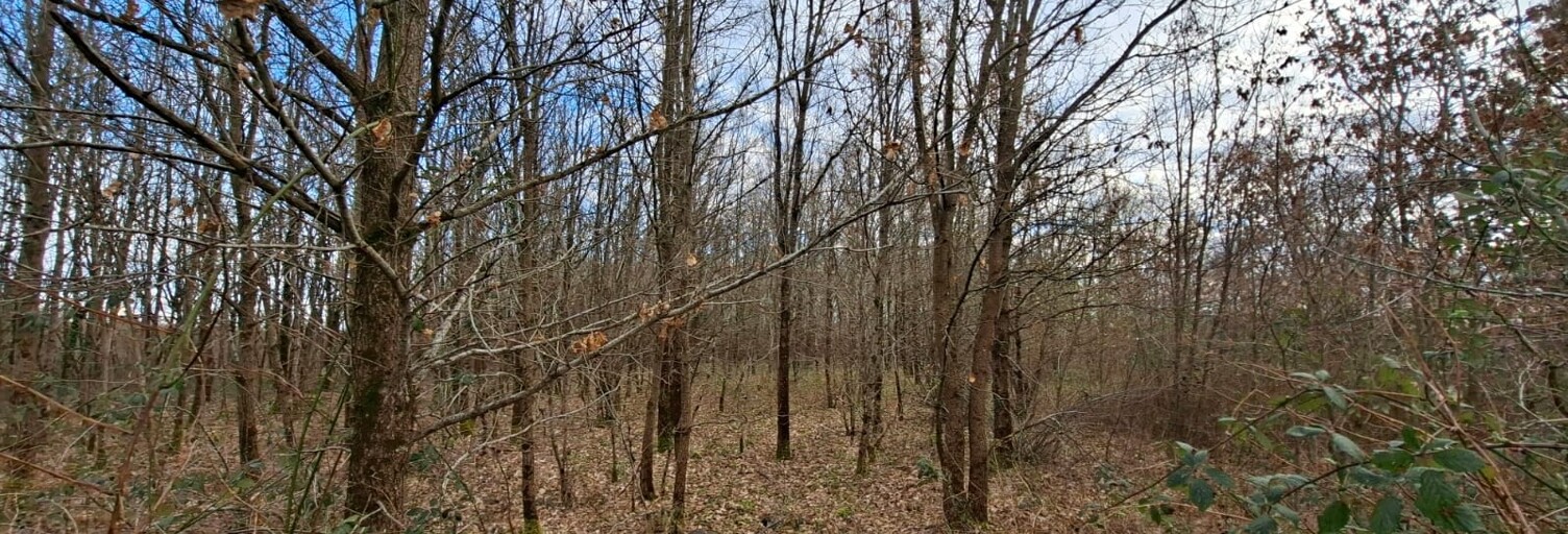 Terrain  12130 m² à vendre à Azay-le-Rideau (37190)