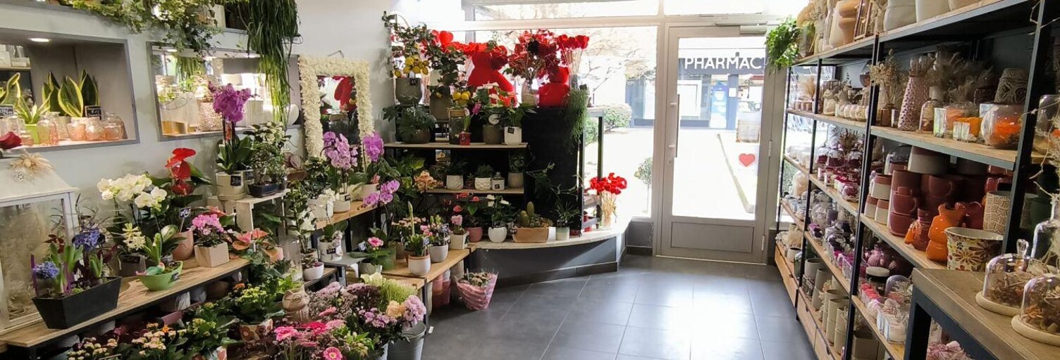 Commerce  55 m² à vendre à Grigny-sur-Rhône (69520)