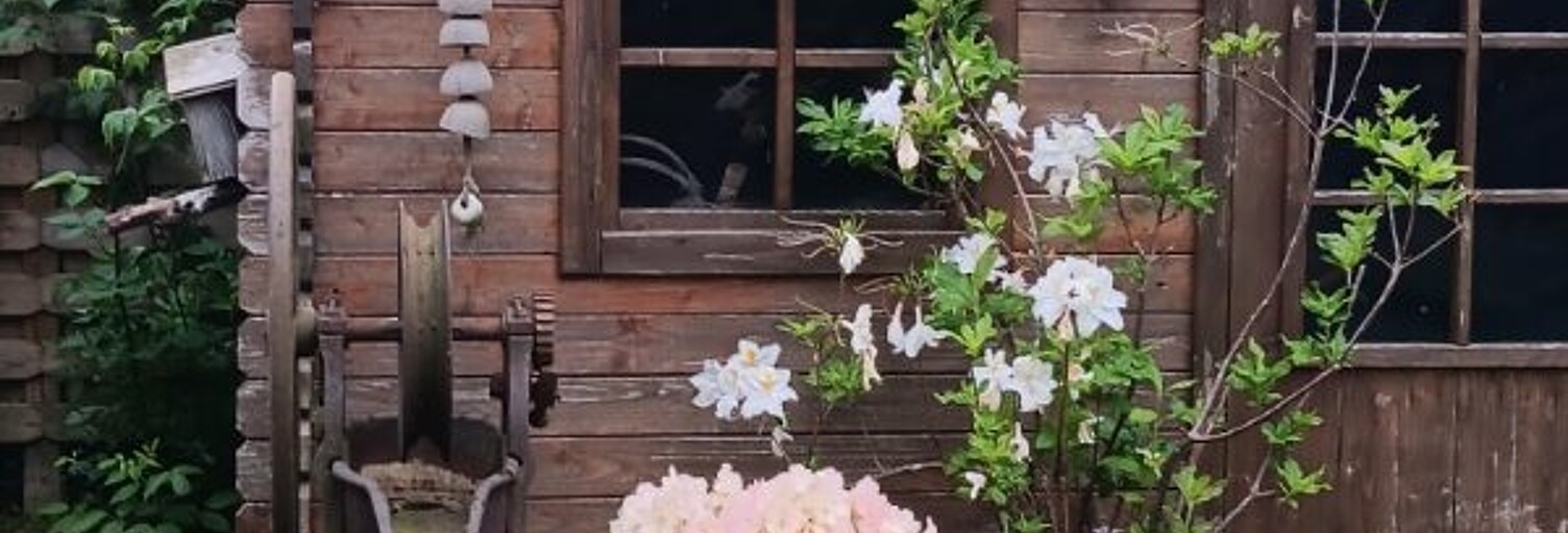 Photo N° 2