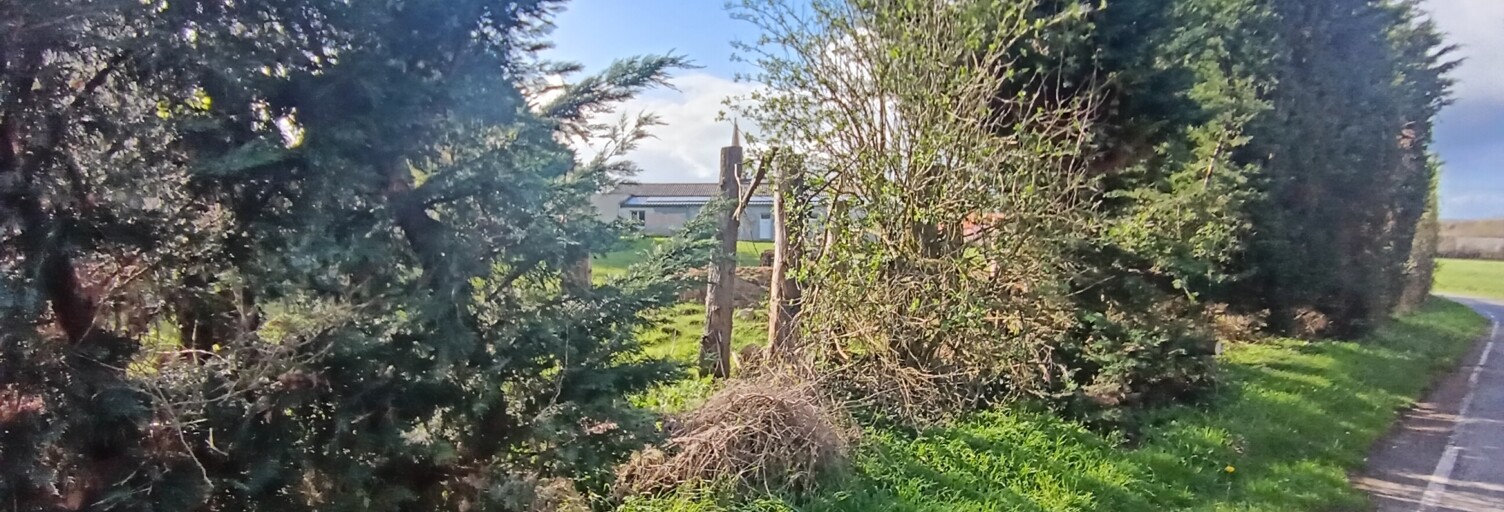 Photo N° 2