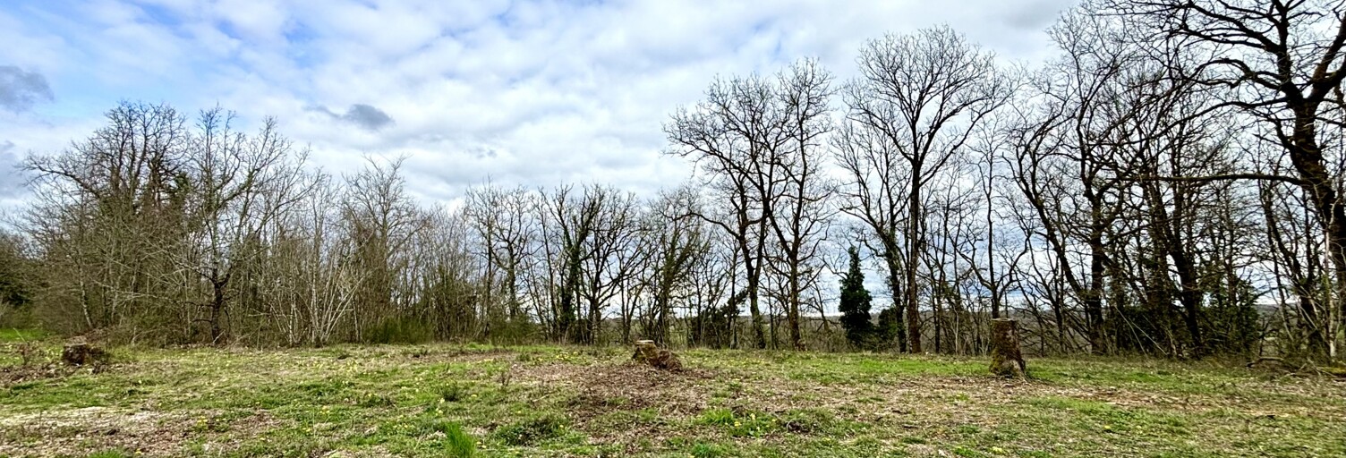 Terrain  7404 m² à vendre à Paulin (24590)