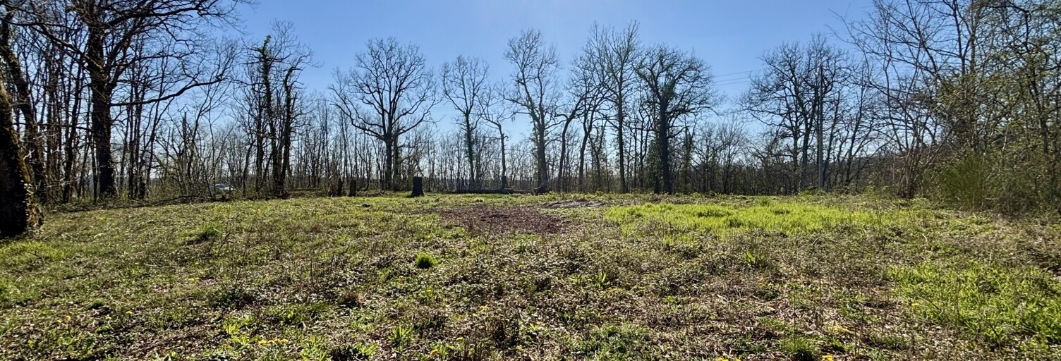 Terrain  7404 m² à vendre à Paulin (24590)