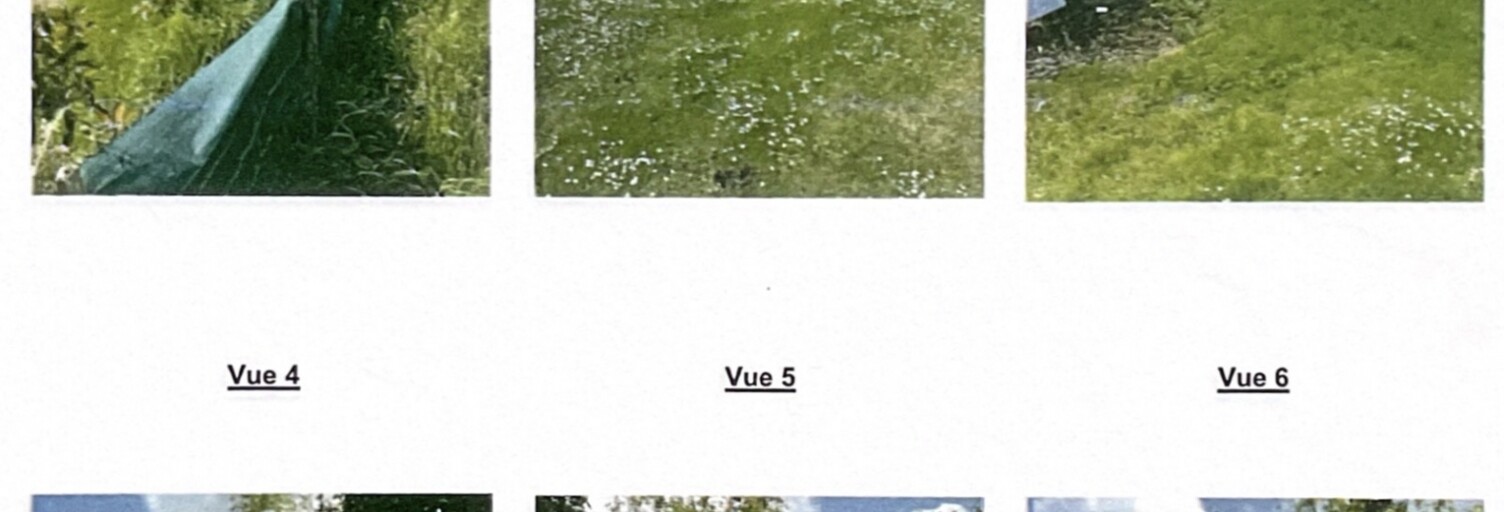 Photo N° 2