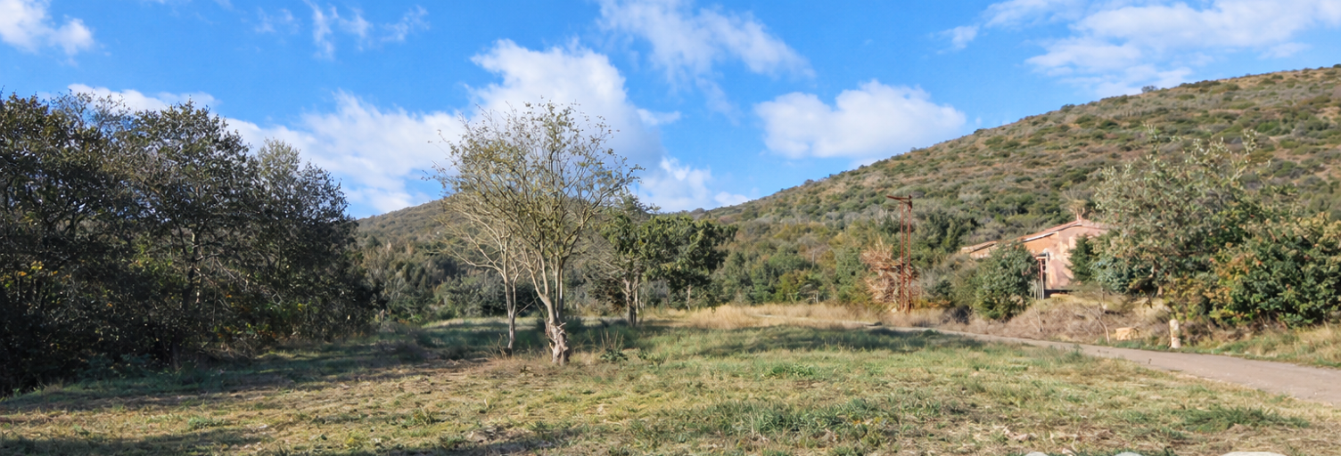 Terrain  1918 m² à vendre à La Tour-sur-Orb (34260)