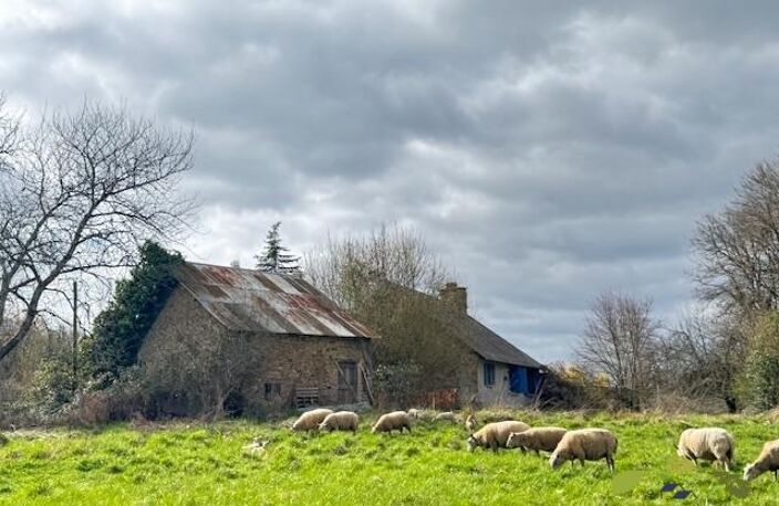 CORREZE — photo 2