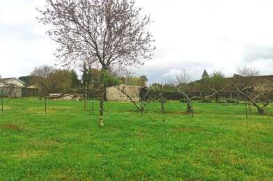 Terrain  81700 €