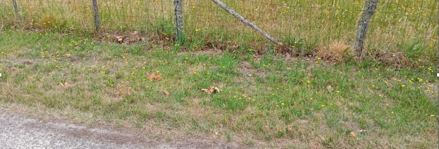 Terrain  800 m² à vendre à Biganos (33380)