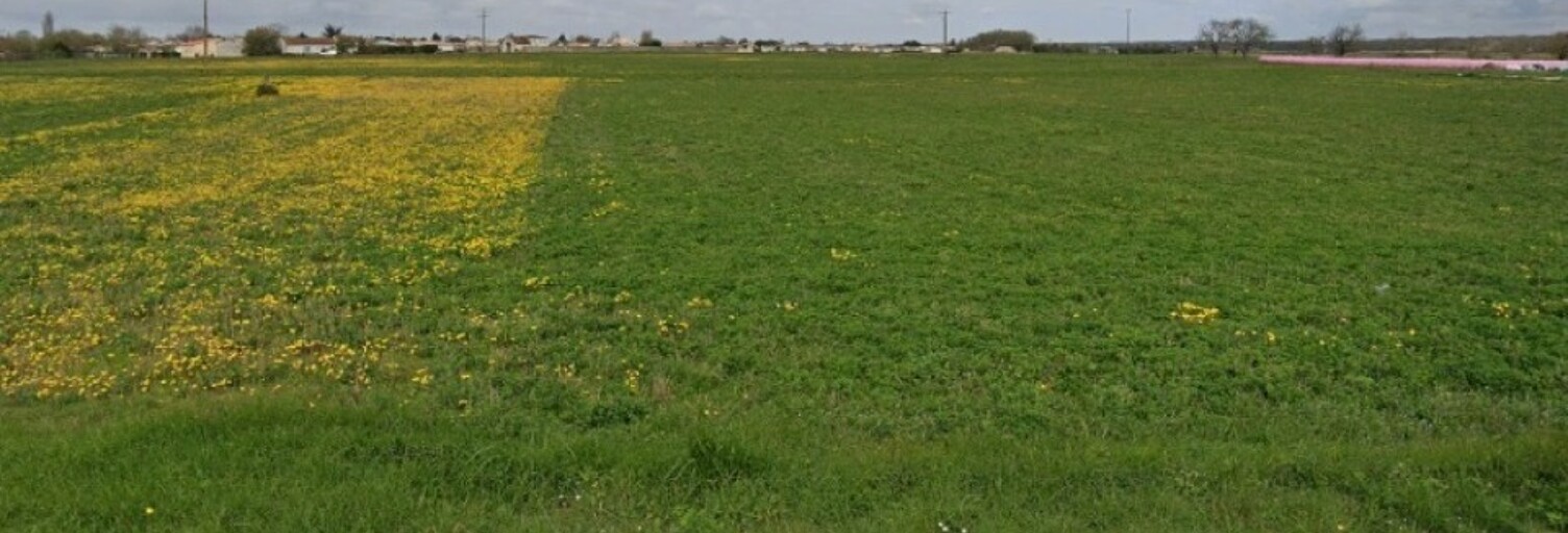 Terrain  378 m² à vendre à Nieulle-sur-Seudre (17600)