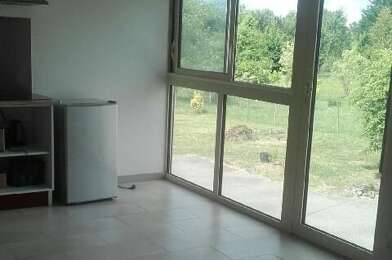 Appartement 1 pièces 490 €