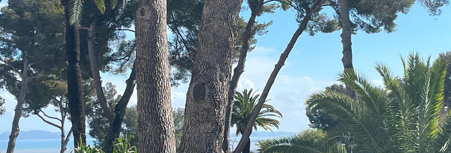 Appartement 3 Pièces 84 m² à vendre à Hyères (83400)