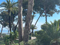HYERES VUE MER APPARTEMENT type 3 — photo 2