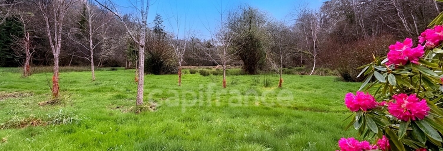 Terrain  7138 m² à vendre à Quimper (29000)