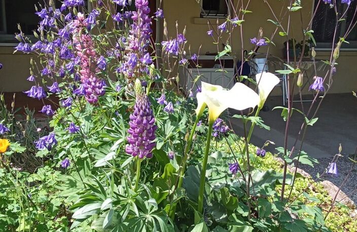 A vendre Maison 4 chambres 150 m2- Saint Agnan -10 min Digoin terrain 2900 m2 Sâone et Loire (71) — photo 3