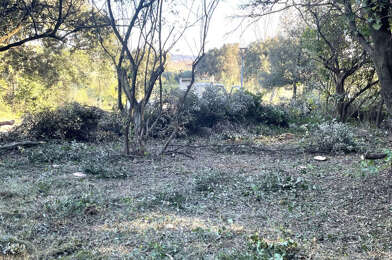 Terrain  89000 €