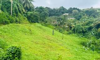 Terrain  765 m² à vendre à Sainte-Marie (97230)