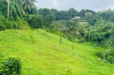 Terrain  40000 €