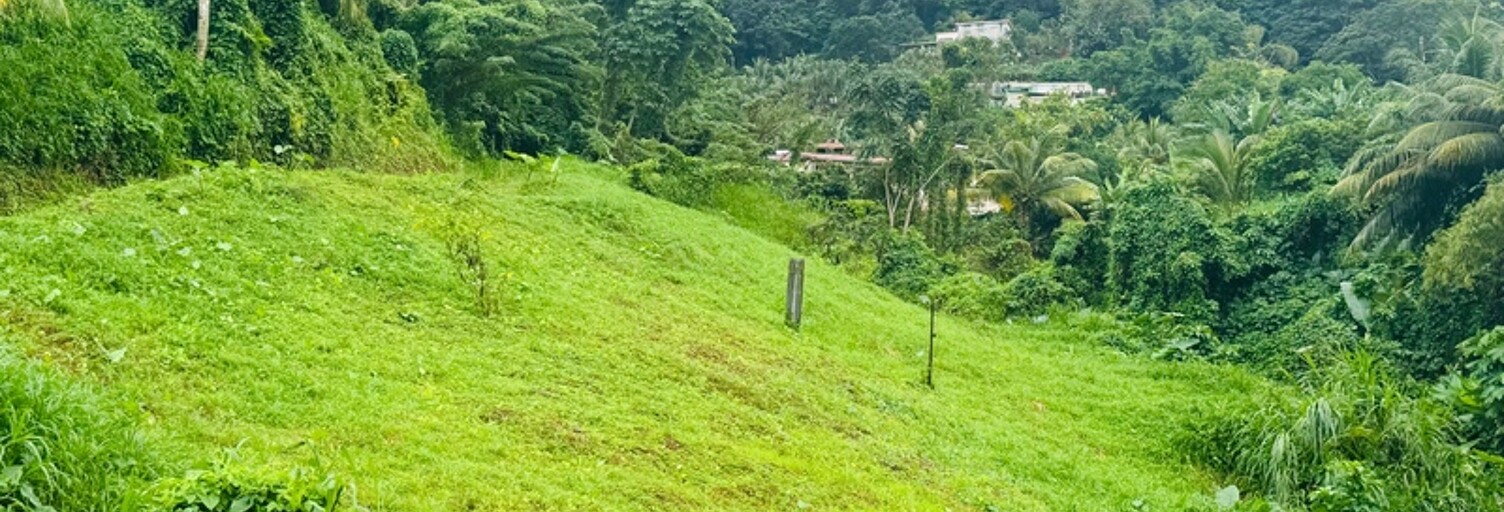 Terrain  765 m² à vendre à Sainte-Marie (97230)