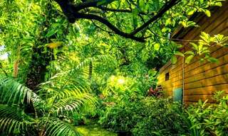 Maison 5 Pièces 116 m² à vendre à Sainte-Rose (97439)