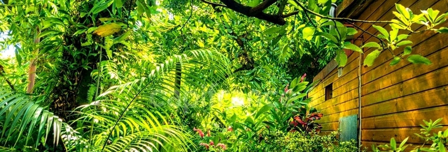 Maison 5 Pièces 116 m² à vendre à Sainte-Rose (97439)