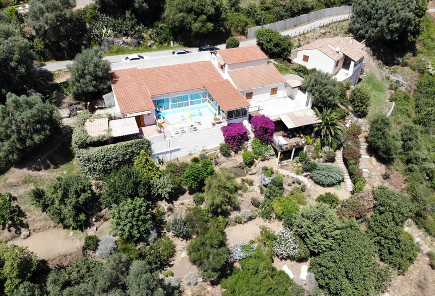 À vendre – Propriété avec maison et appartement indépendant à Olmeto — photo 1