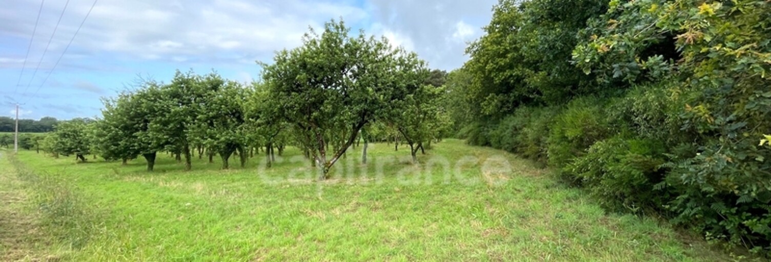 Terrain  12510 m² à vendre à Nivillac (56130)