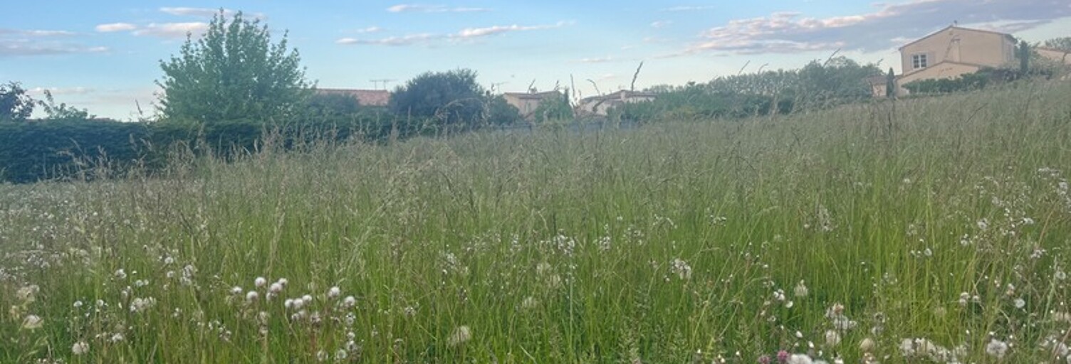 Terrain  750 m² à vendre à Fontvieille (13990)