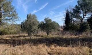 Terrain 3100 m² à construire Saint-Maximin-la-Sainte-Baume (83470)