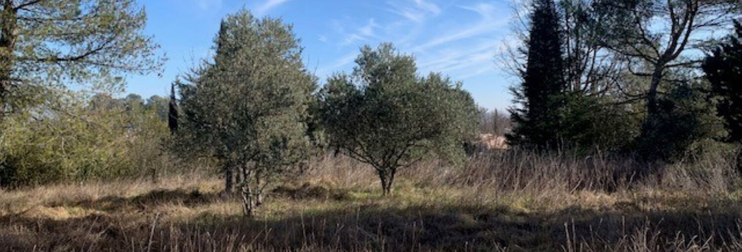 Terrain 3100 m² à construire Saint-Maximin-la-Sainte-Baume (83470)