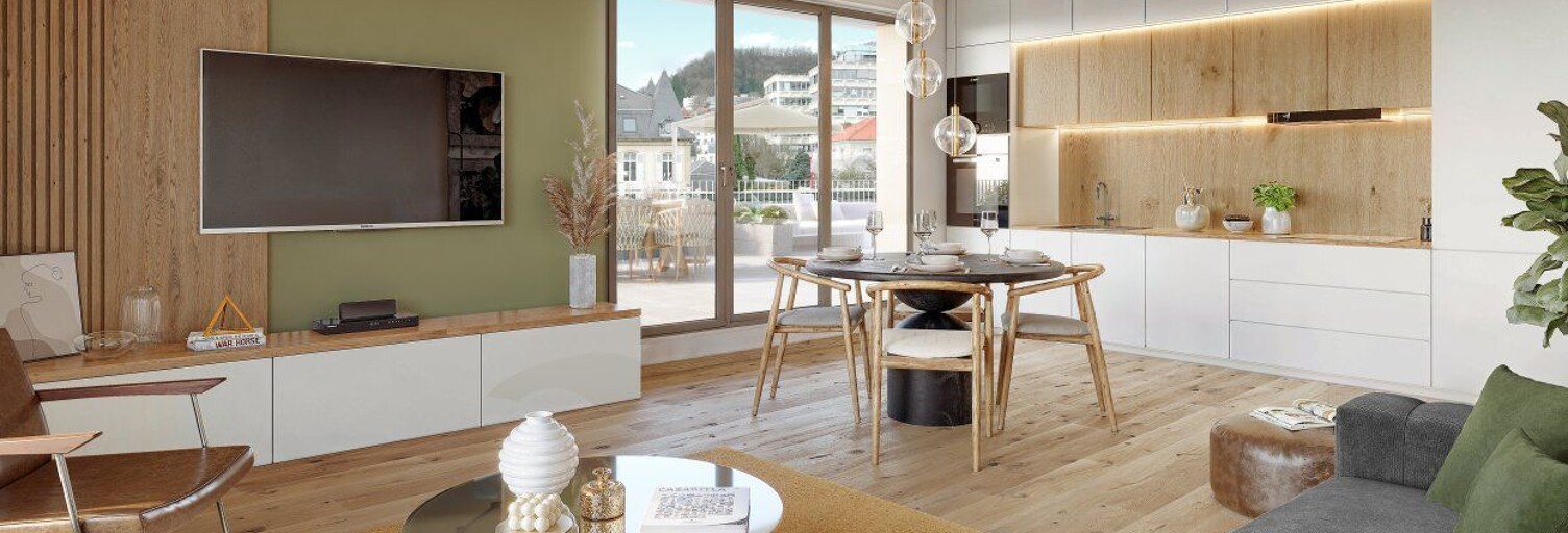 Appartement 1 Pièce 24 m² à vendre à Nancy (54000)