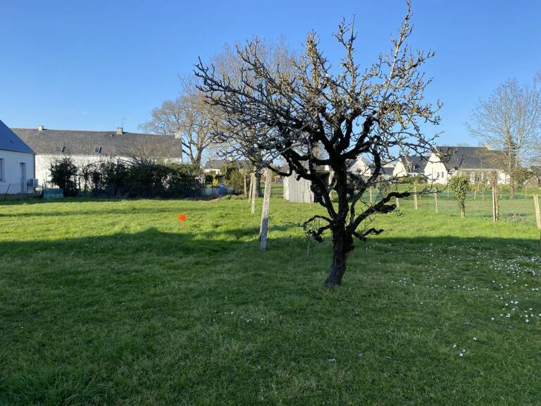 Terrain À Vendre — photo 1
