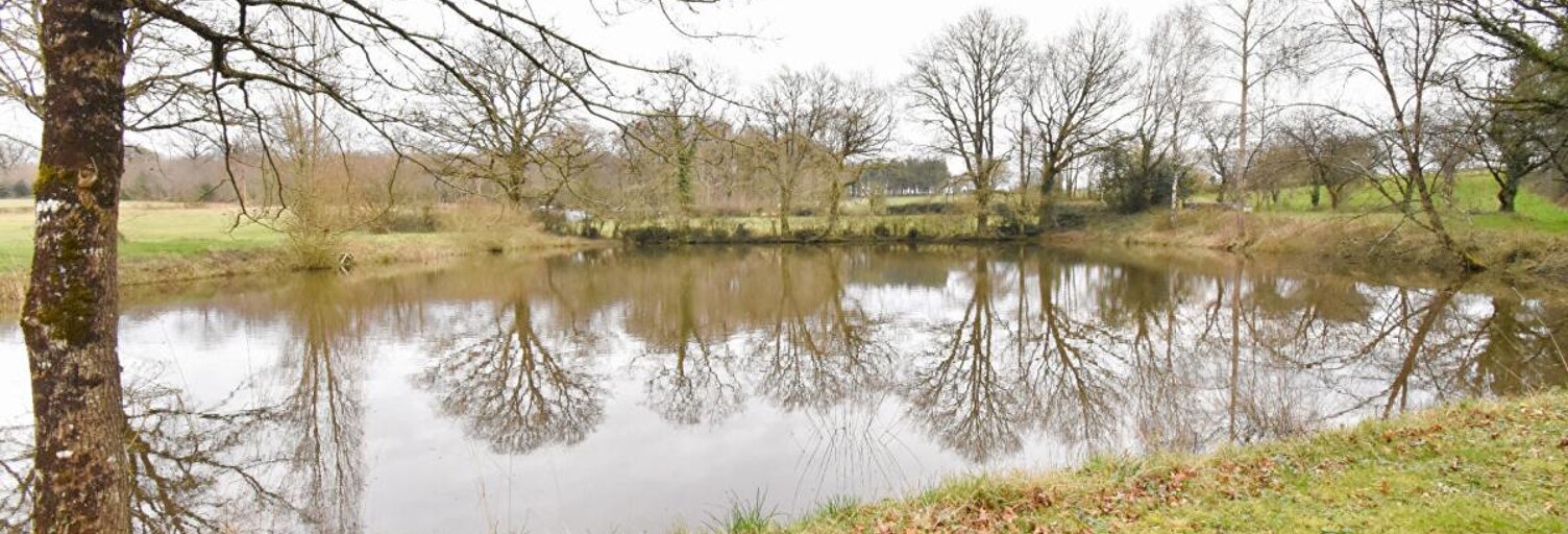 Maison  11556 m² à vendre à La Plaine (49360)