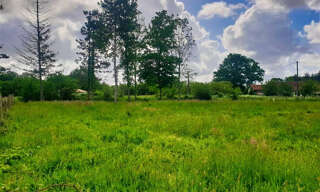 Terrain  19380 m² à vendre à Chazelles (16380)