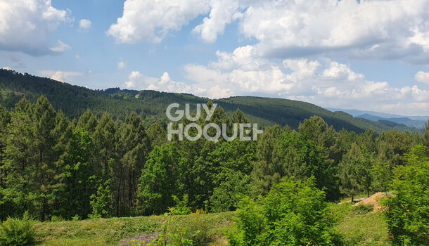 Terrain  à vendre Mercuer 07200