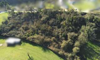 Terrain  7439 m² à vendre à Montamisé (86360)