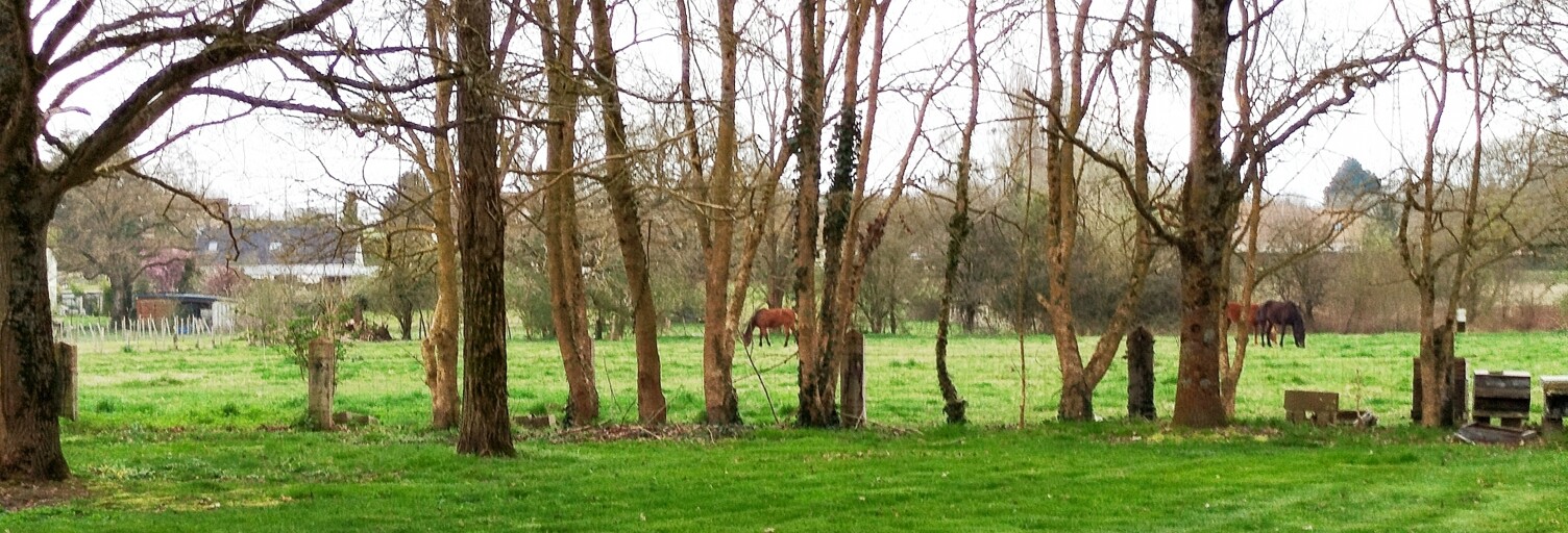 Maison 5 Pièces 90 m² à vendre à Connerré (72160)