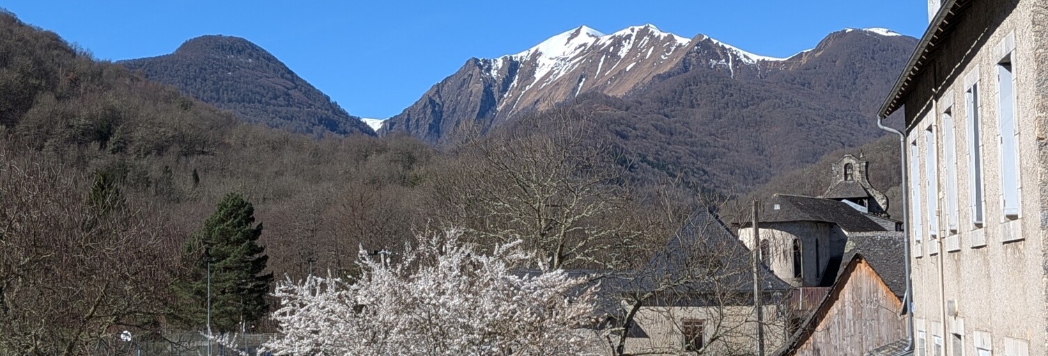 Photo N° 2