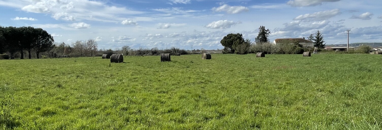 Terrain  12000 m² à vendre à Donzac (82340)