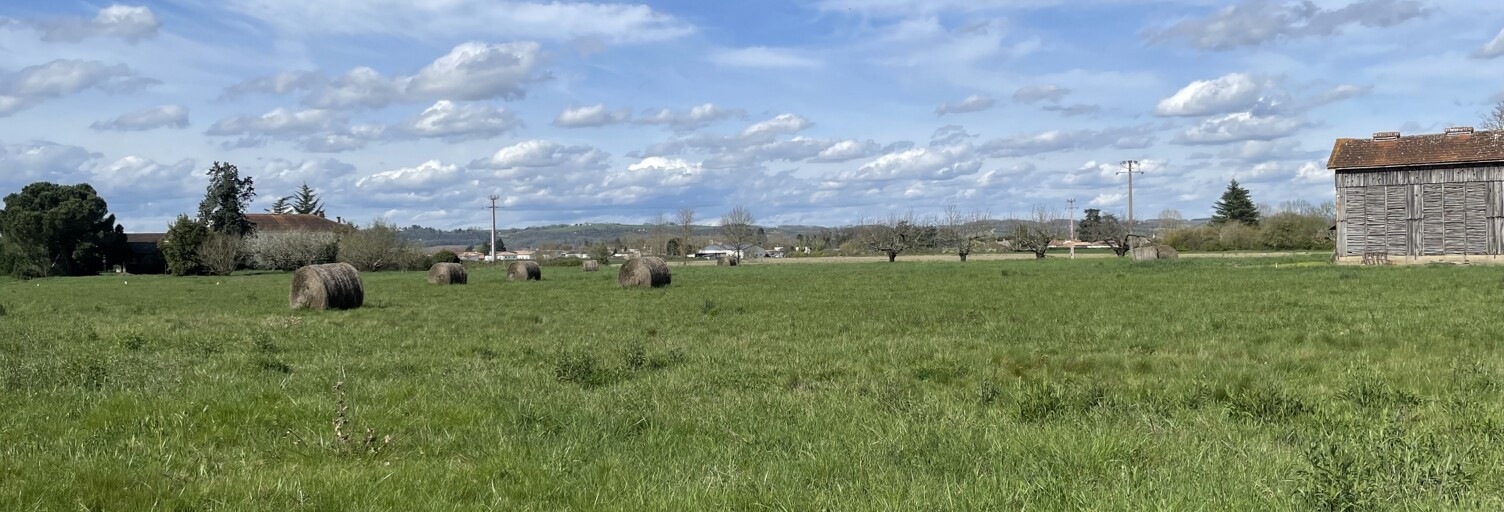 Terrain  12000 m² à vendre à Donzac (82340)